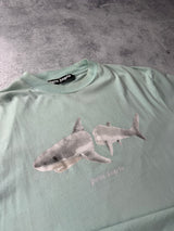 Palm angels baby blue shark tee