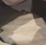 Louis Vuitton vintage speedy 40