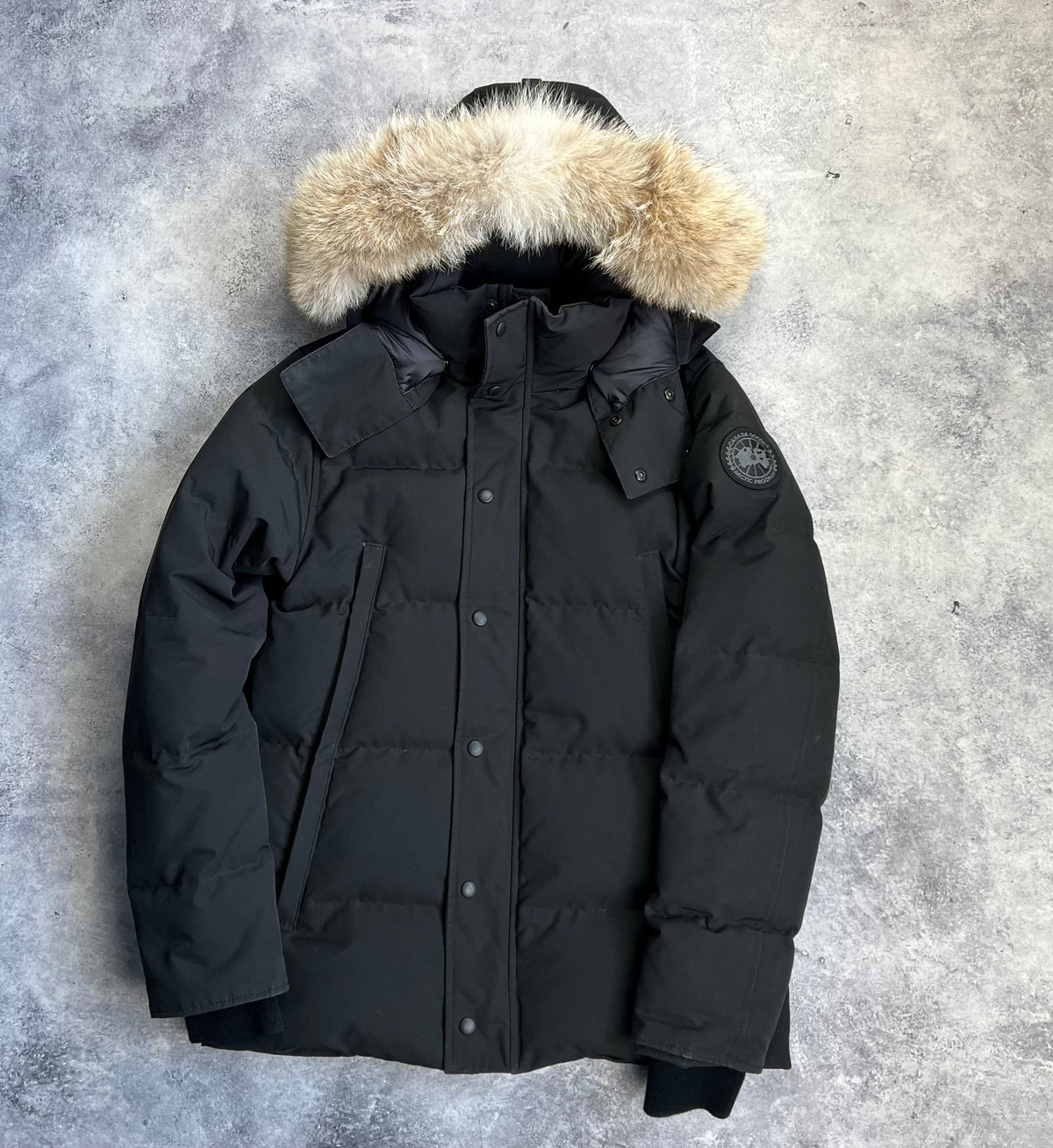 Navy Blue Canada Goose Wyndham Parka Black Label Parka Jacket 