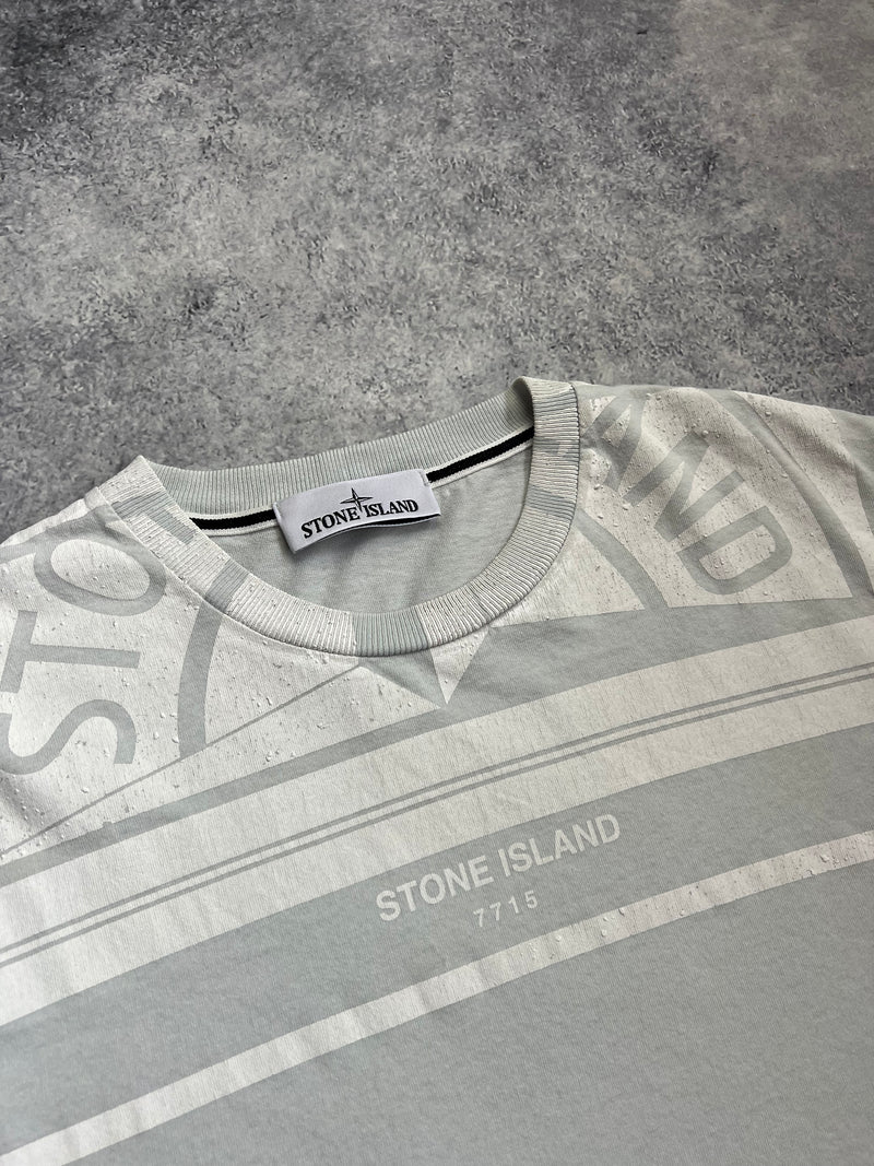 Stone island 2022 grey graphic tee